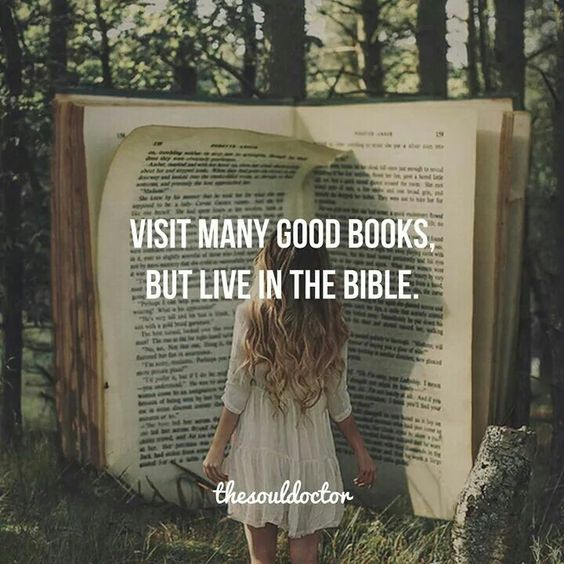 live in the Bible.jpg