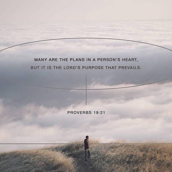 Proverbs19_21_Many are the plans in a person's heart.jpg